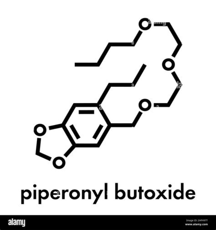 Where does piperonyl butoxide come from?