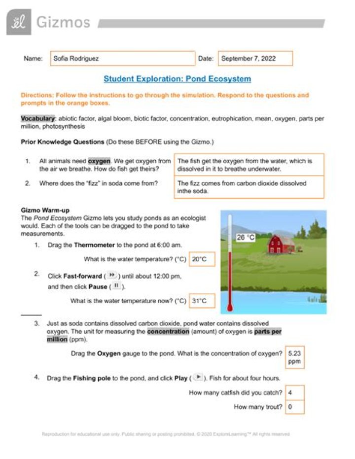 Where does the fizz in soda come from?