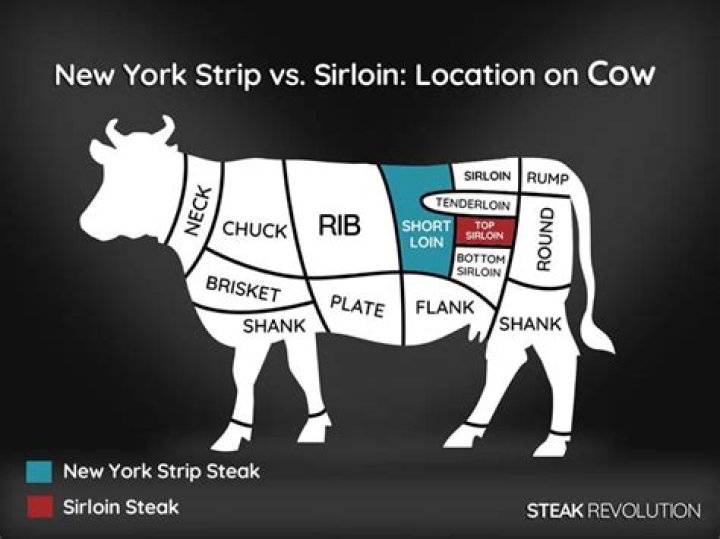 Where does the new york strip cut come from?