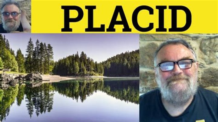 Where does the word placidly come from?