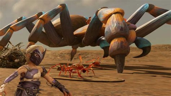 Where does the word tarantula come from?