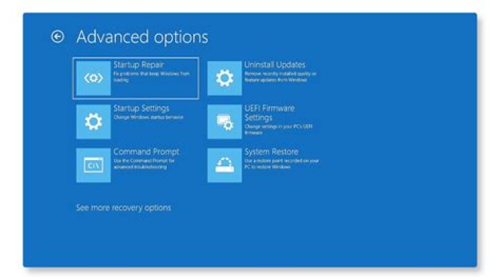 Where is advanced options in windows 10?