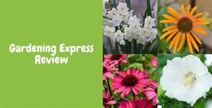 Where is gardening express?