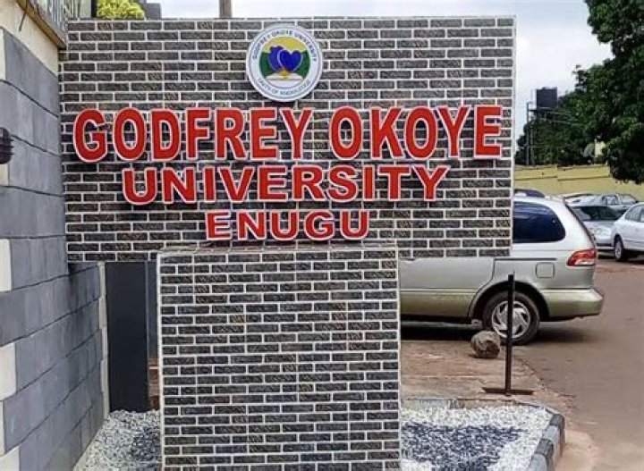 Where is godfrey okoye university located?