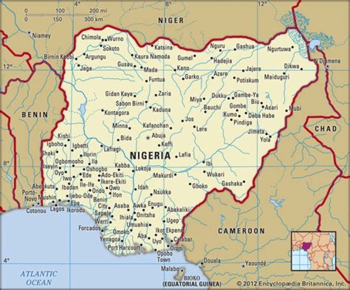Where is gongola basin located in nigeria?