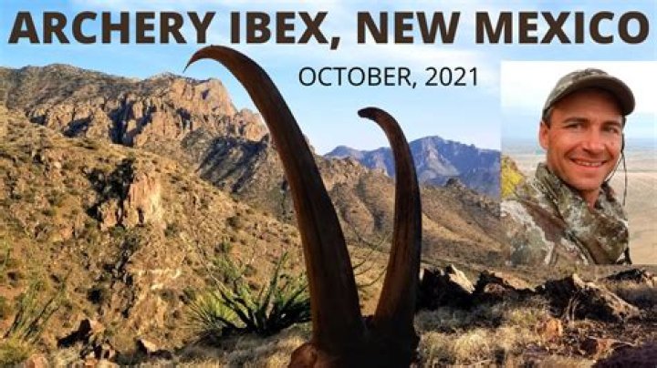Where is ibex located?