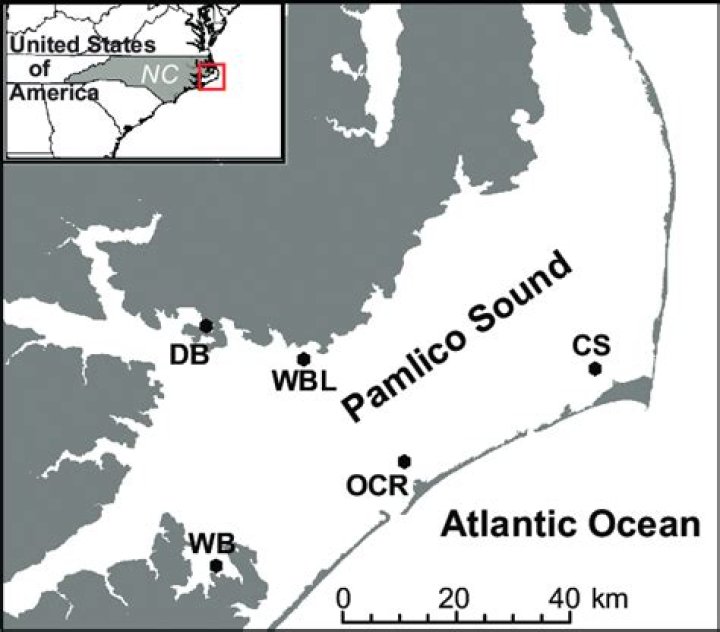 Where is pamlico sound?