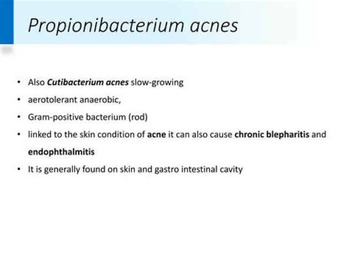 Where is propionibacterium acnes found?