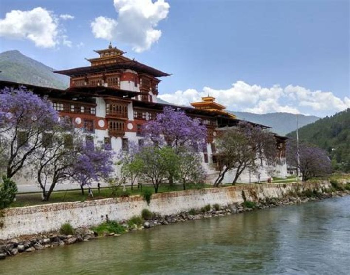 Where is punakha dzong?