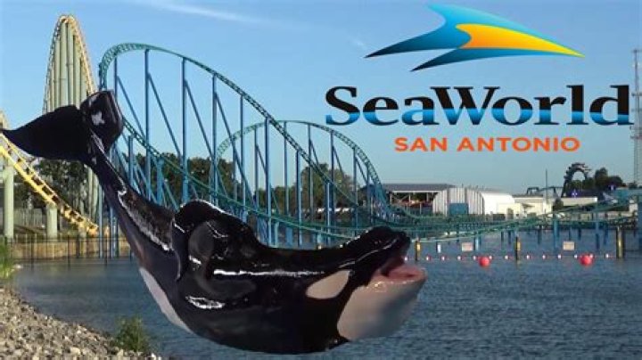 Where is seaworld in san antonio?