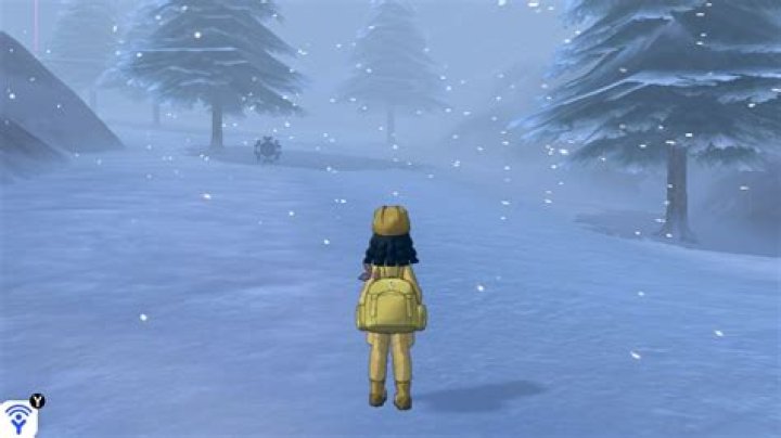 Where is snowslide slope?