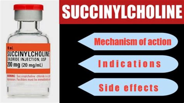 Where is succinylcholine metabolized?
