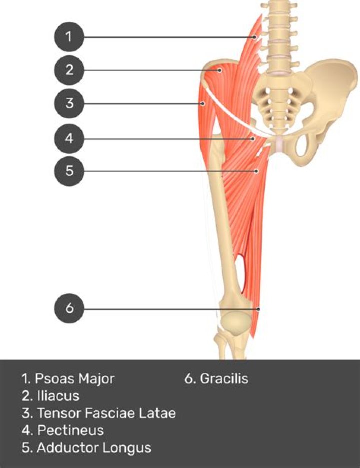 Where is tensor fasciae latae pain?