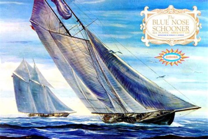 Where is the blue nose schooner?