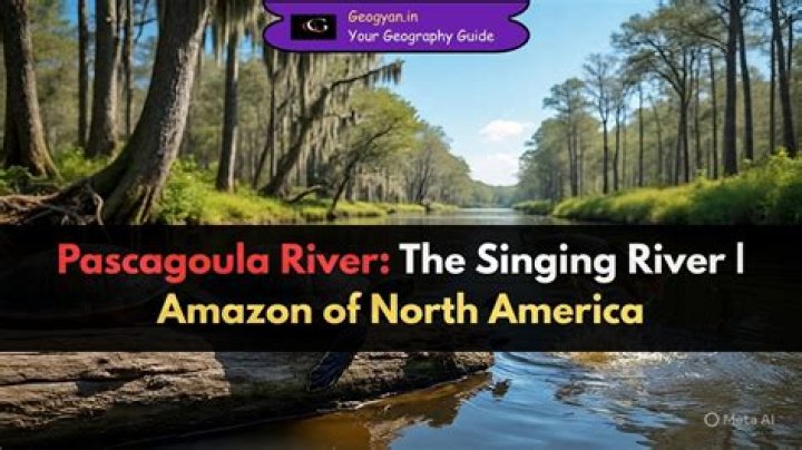 Where is the pascagoula river?