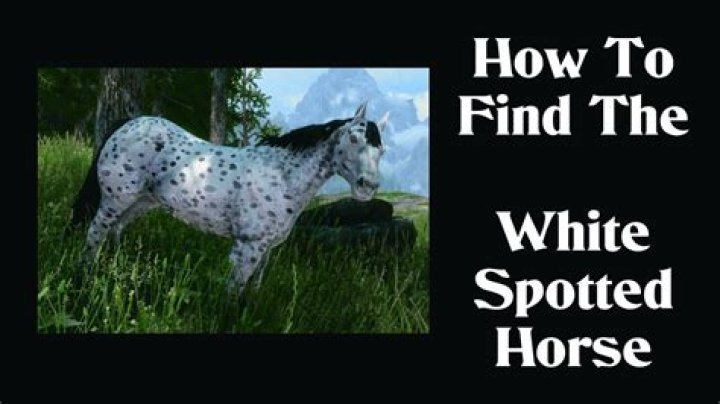 Where is the white spotted horse skyrim?
