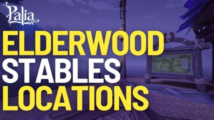 Where is zayat stables?