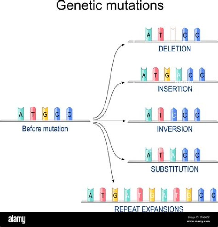 Where mutations can happen?
