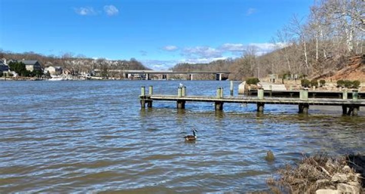 Where to fish on the occoquan reservoir?