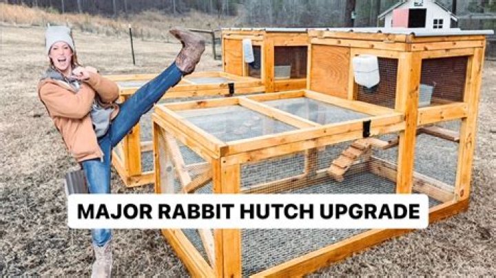 Where to put rabbit hutch?