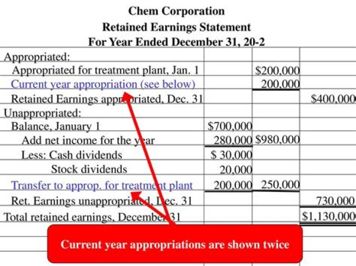 Where to record appropriated retained earnings?