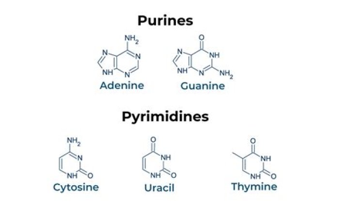 Where we use pyridine?