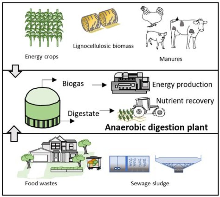 Which anaerobic digestion process?