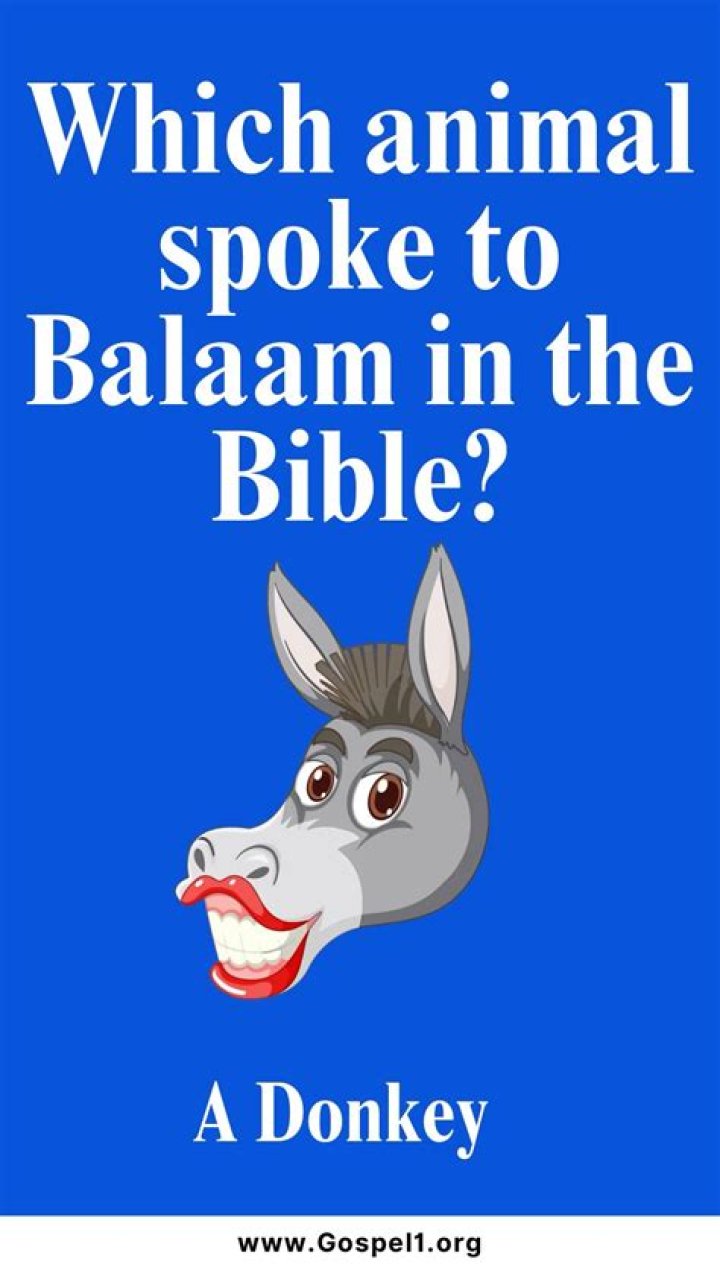 Which animal spoke to balaam?
