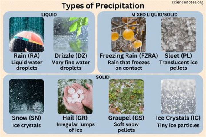 Which are forms of precipitation?