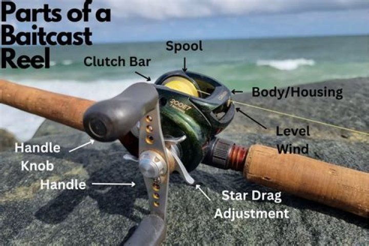 Which baitcasting reel is the best?