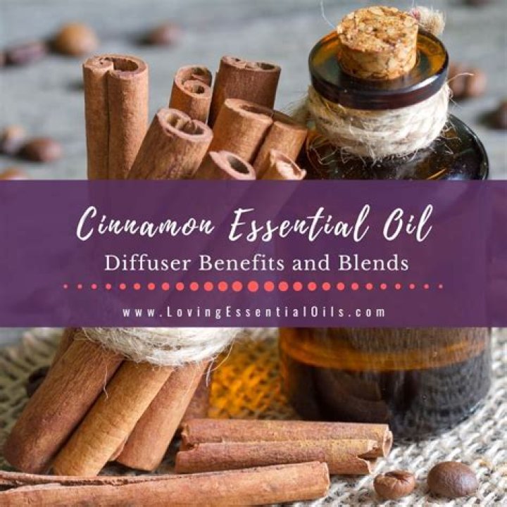 Which cinnamon essential oil is best?