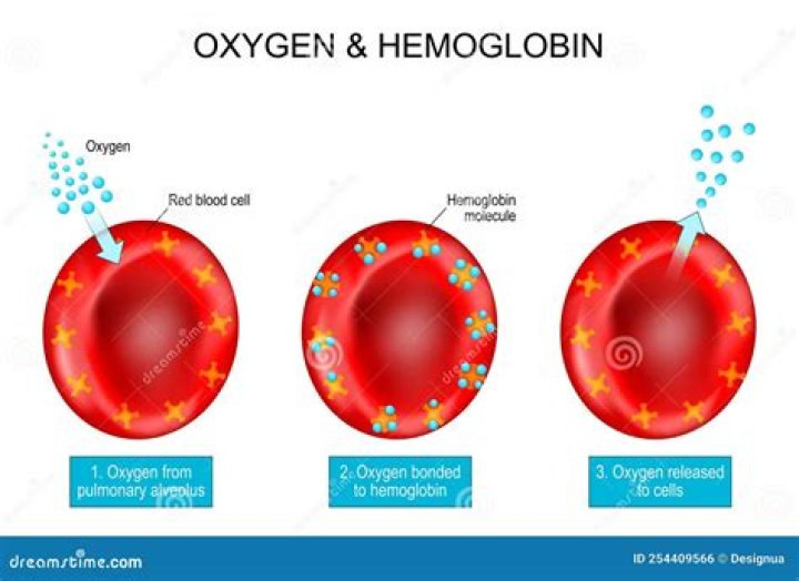 Which component of hemoglobin binds oxygen?