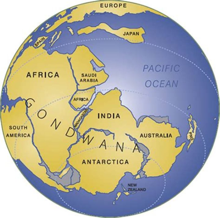 Which continent was not a part of gondwanaland?