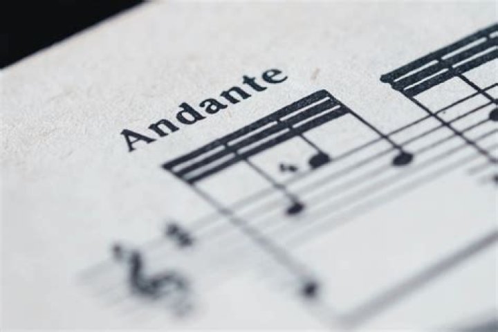 Which does andante mean?