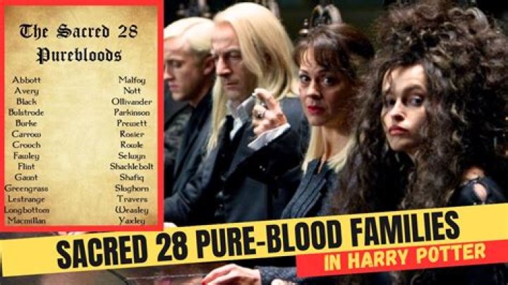 Which harry potter characters are pureblood?