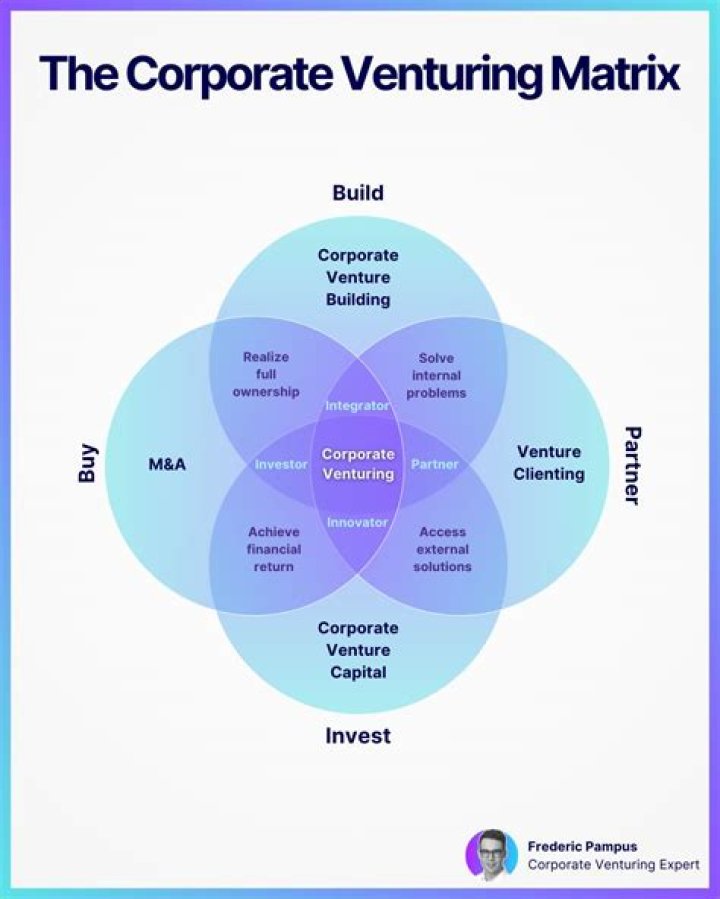 Which is alternatively called corporate venturing?