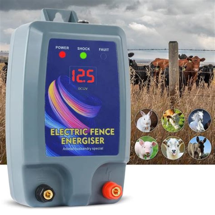 Which is better energiser or duracell?