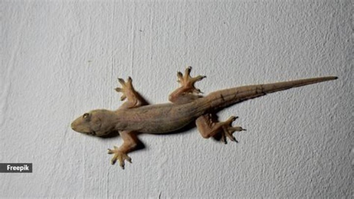 Which is bigger saipan or guam?