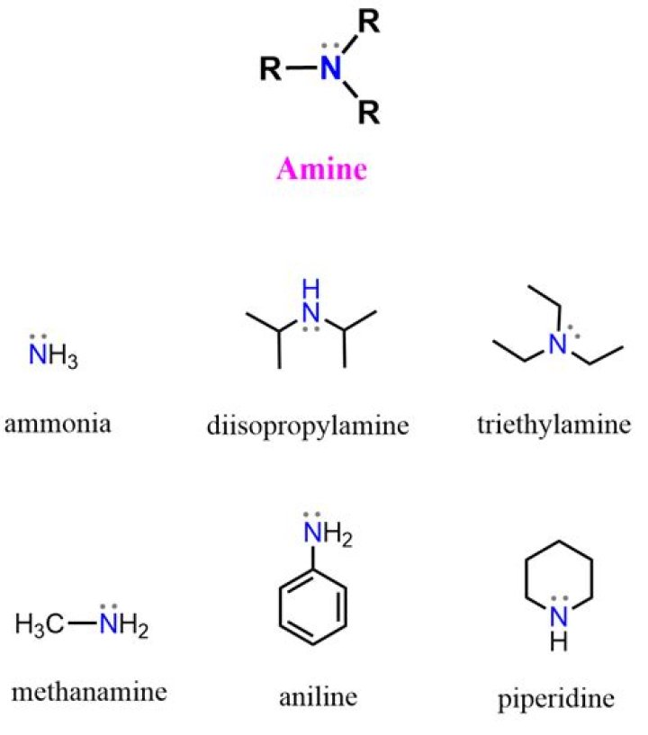Which is correct amine or ammine?