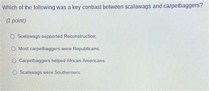 Which of the following describes scalawags?