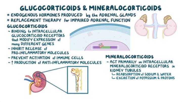 Which of the following is a mineralocorticoid?