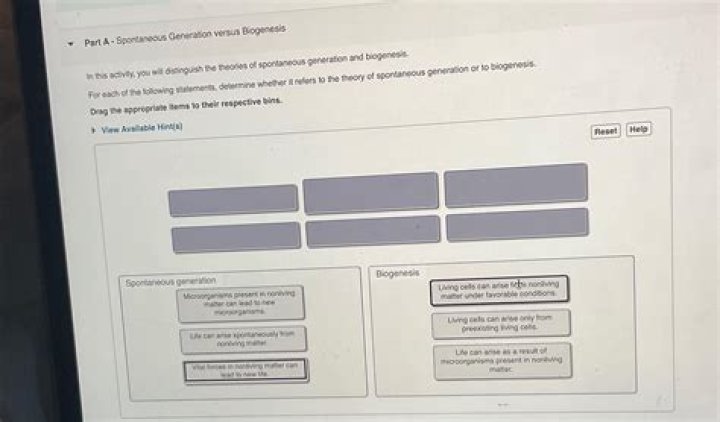 Which of the following refers to the statement that infers a conclusion?