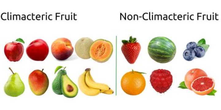 Which of these is not a climacteric fruit?