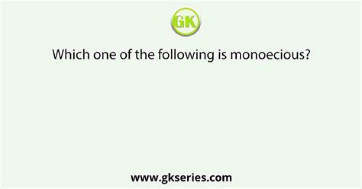 Which one of the following is monoecious?