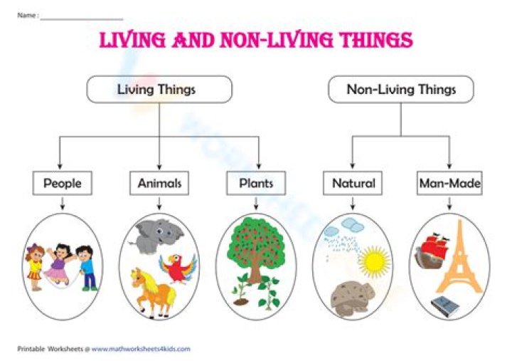 Which organisms are interlinked between living and nonliving?