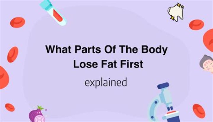 Which part of body loses fat first?
