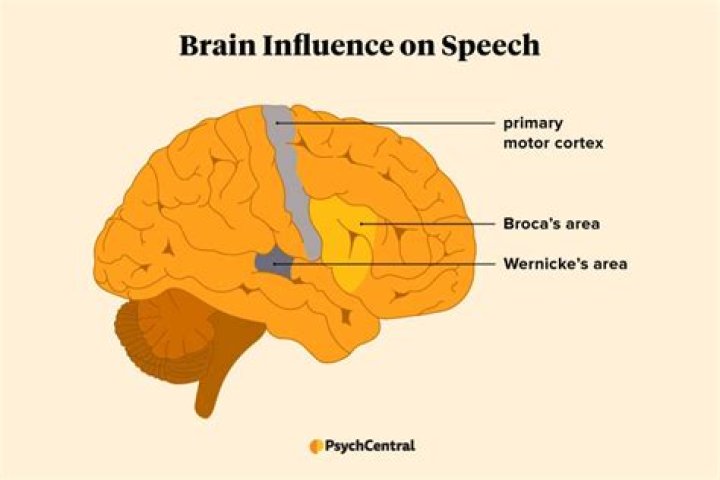Which part of speech is unintelligent?