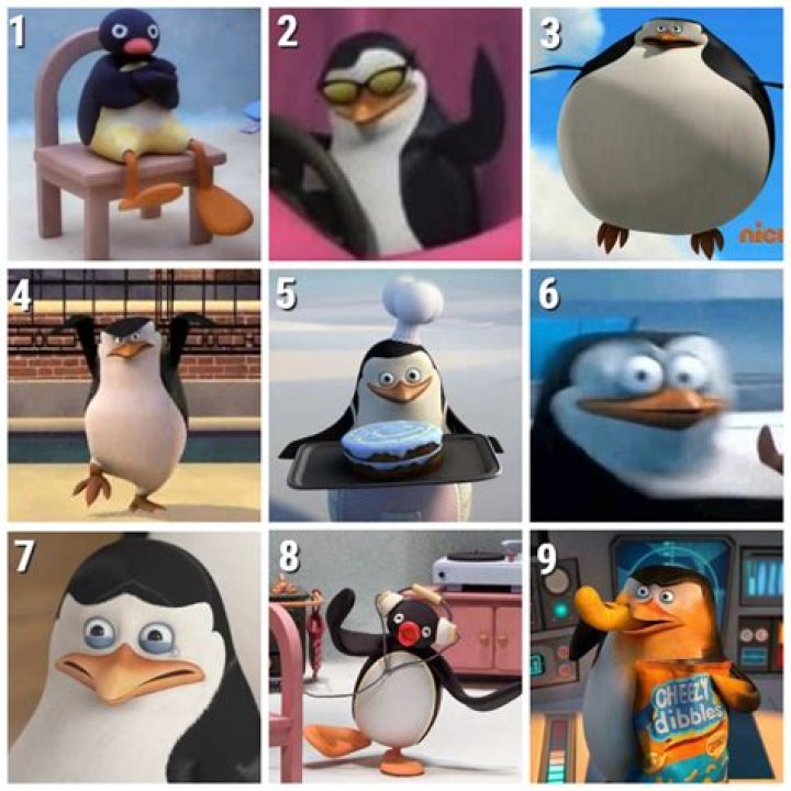Which penguin sits on the egg?