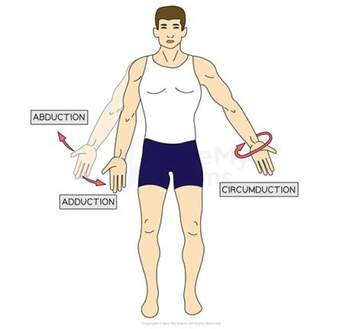 Which plane does circumduction occur in?