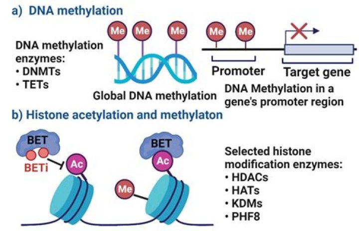Which reagent is used for quantifying dna?